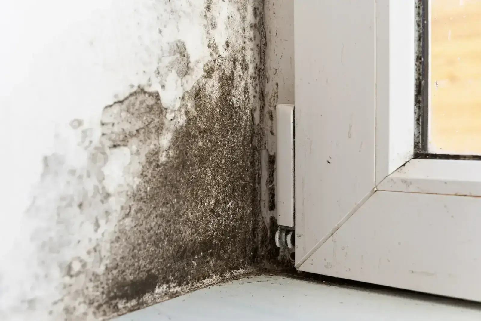Rossmoor — water damage restoration